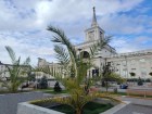 Эффективность и законность трат на озеленение проверят в Волгограде