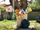 Вывешивать пакеты с мусором на деревья вынуждены жители в Кировском районе Волгограда