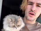 «Моя Булка»: толпу поклонников собрала кошка сына Дубцовой