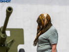 Назван пик атаки мошкары на Волгоград