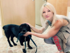 «Я очень часто огорчаю людей», - волонтер о спасении бездомных животных в Волгограде