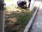 Водитель автобуса залил из огнетушителя пассажира-дебошира в Волгограде