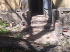 «Нас, жильцов, трясет»: рухнувшее на юге Волгограда дерево повредило кровлю и оборвало провода 
