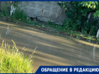 «Ждете, пока отравимся и сдохнем?»: фекальное ЧП сняли на видео в Волгограде