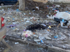 Жуткую свалку устроили под окнами МКД в Волгограде