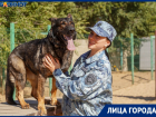 Моё собачье дело: самая веселая полицейская овчарка показала, как раскрывает преступления в Волгограде