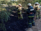  Полностью потушили природный пожар, который вспыхнул близ Суровикино
