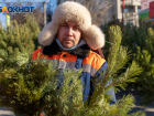 В Волгограде открываются ёлочные базары: полный список адресов 