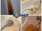 Вода пугающего цвета появилась в квартирах Волгограда при старте отопительного сезона