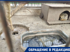 «Концлагерь для енотов»: волгоградцы продолжают ужасаться условиями содержания животных в кафе «Дворик»