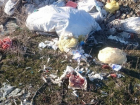 В Кировском районе Волгограда  обнаружено несанкционированное захоронение медицинских отходов