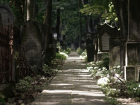 Волгоградцам разрешли посещение кладбищ