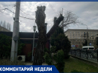 «А что вы вообще можете?»: волгоградцы потребовали очистить город от сорняков в человеческий рост