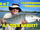 Стартует голосование в фотоконкурсе «А у тебя клюет?»