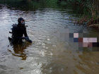 Молодой человек утонул в волгоградском пруду на глазах у отдыхающих 