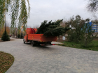 Сроки крупного контракта по благоустройству сорвал в Волгограде известный подрядчик