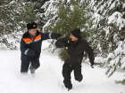 Накануне нового года под особую охрану взяты елки Волгоградской области