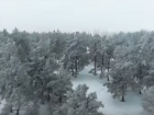 Житель Волгограда снял на квадрокоптер ледяной зимний лес