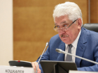 Депутат Волгоградской облдумы Илья Кошкарев отказался от мандата 