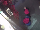 Дерзкого похитителя цветов, прославившегося на видео, ищут в Волгограде