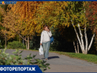 Мега-потепление накрыло Волгоград в конце октября: смотрим на красивую осень