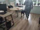 "Блокнот Волгограда" получил сообщение о "заложенной бомбе" 