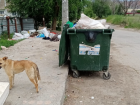 Жители Волгограда не относят свой город к разряду чистых