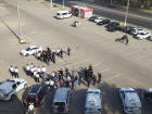 Загадочный парад с лошадьми заметили у жилых домов в Волгограде