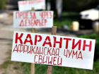 АЧС распространилась еще на два населенных пункта Волгоградской области 