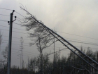 Массовые обрывы электросетей из-за урагана произошли в Волгоградской области