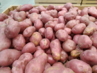 Волгоградцы планируют выживать за счет собственноручно выращенной картошки