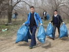 Волгоградские бюджетники будут собирать листву и белить деревья