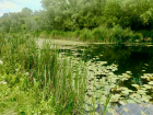 Тело пропавшего парня нашли в водоеме под Волгоградом 