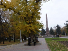 В Волгограде высадили клонированный Сталинградский тополь