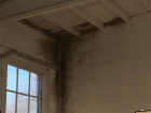 Смертельно опасный грибок поедает спортивный зал школы под Волгоградом