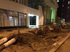 Продолжается уничтожение зеленых насаждений в Волгограде