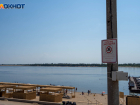 На пляжах Волгоградской области нашли патогенные микроорганизмы