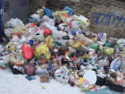 Волгоградцы показали на видео двор, в котором мусор последний раз вывозили в прошлом году
