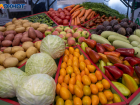 Названы четыре главные продуктовые стройки на миллиарды в Волгоградской области