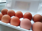 Волгоградцев предупредили об опасных яйцах с сальмонеллами