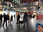 В Волгограде эвакуировали торговый центр "Парк Хаус" 