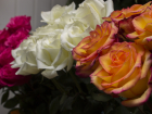 Стала известна стоимость недорогих цветов на 8 Марта в Волгограде