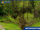 Тайная жизнь ерика за Волгой в Волгоградской области в объективе фотографа
