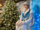 Впервые в Волгограде пройдет незабываемый праздник Снегурочек