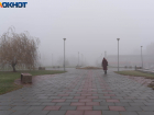 Видимость опасно снизилась на трассах в Волгоградской области
