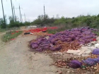 Тонны гниющего и проросшего лука и вялой моркови вывалили на обочину московской трассы у Волгограда
