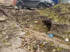 «Искалечили дерево, побросали трубы»: раскопки возле планетария возмутили волгоградцев