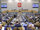 Депутаты Госдумы могут сознательно саботировать принятие обозначенных Путиным законов, - волгоградский общественник