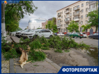 Ураганный ветер заставил горожан молиться и натворил бед в Волгограде: последствия на фото