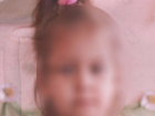 По факту исчезновения 5-летней девочки под Волгоградом следователи возбудили дело по статье "Убийство"